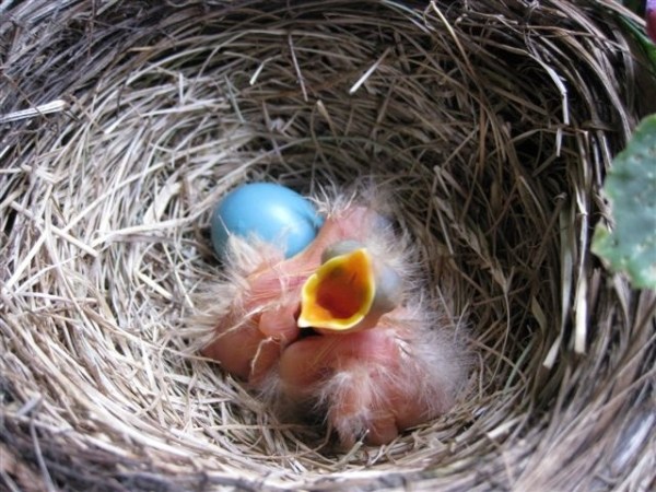 Thank you for bringing me to this beautiful place...