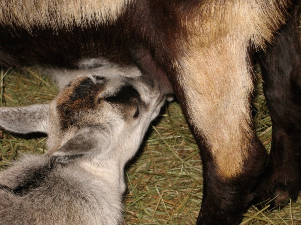 I come to you defenses down... with the trust of a child...