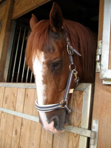 IMG_2034 Pure hearts and minds...