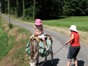 IMG_2142 For the next time we go walking...