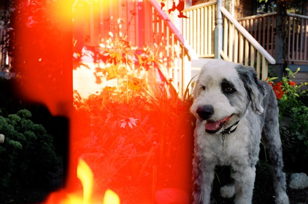 and we can only fly by embracing one another...