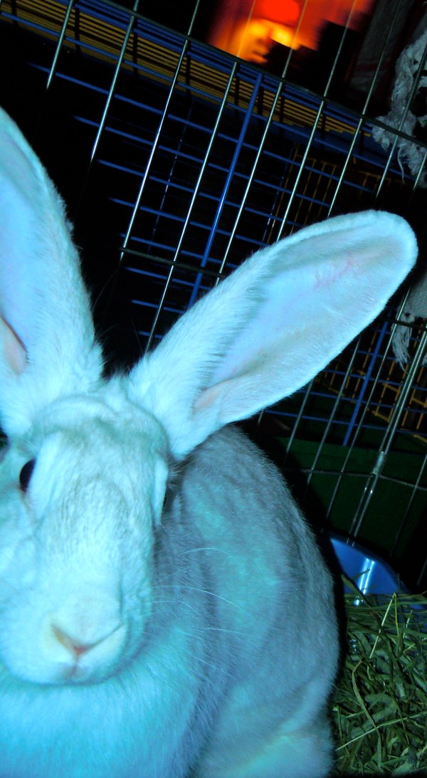 They say I'll be okay, but i'm not going to... (photo: Starshine)