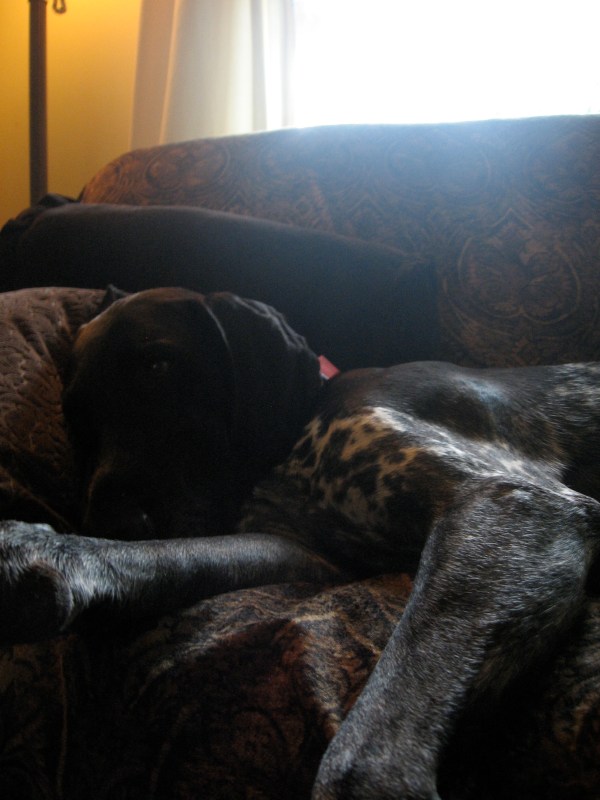 People throw rocks at things that shine... 