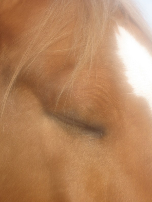 Me minus you is such a lonely ride...